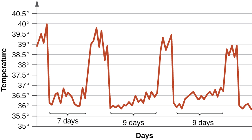 Graph with Days on the X axis and Temperature on the Y axis. There is a peak to 40 degrees C early on then a drop back to normal temperatures (37 degree C) for 7 days. Then another peak, then another drop to normal for 9 days, then another peak and then another drop to normal for 9 days.