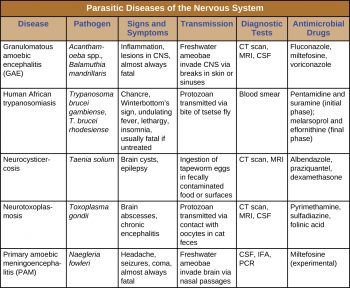 27.4 Fungal and Parasitic Diseases of the Nervous System – Microbiology ...