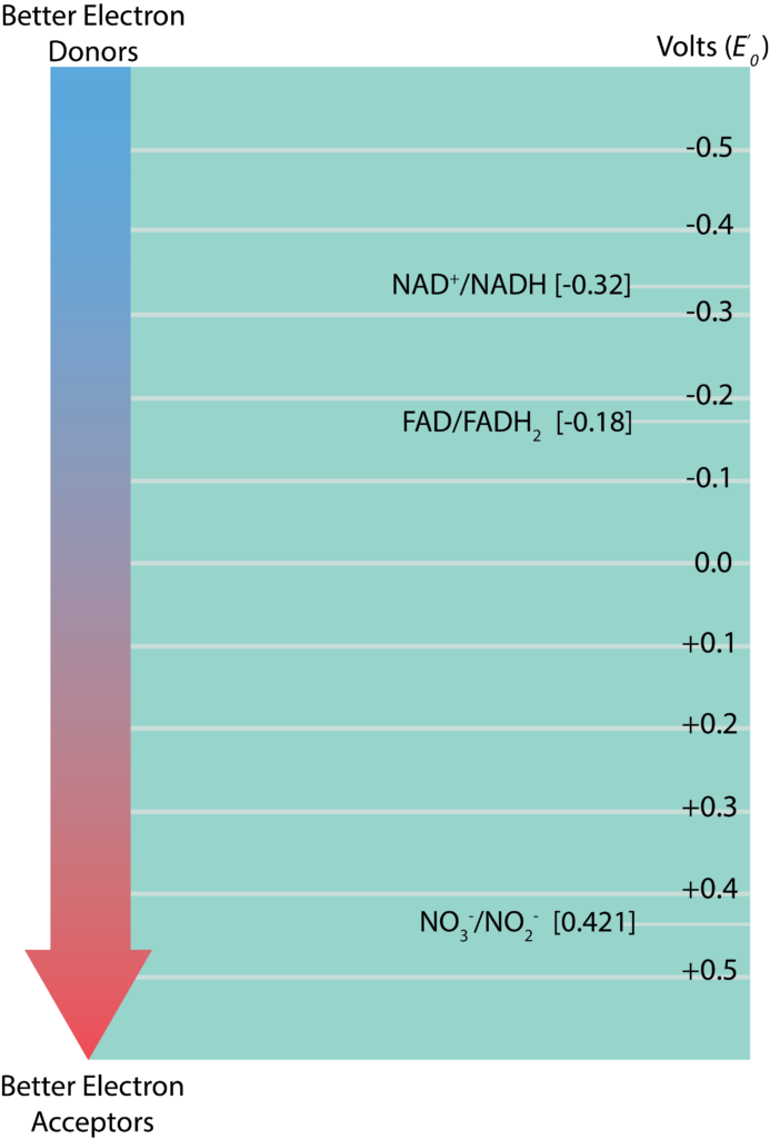 A redox tower consists of redox couples arranged with strong donors at the top and strong acceptors at the bottom.