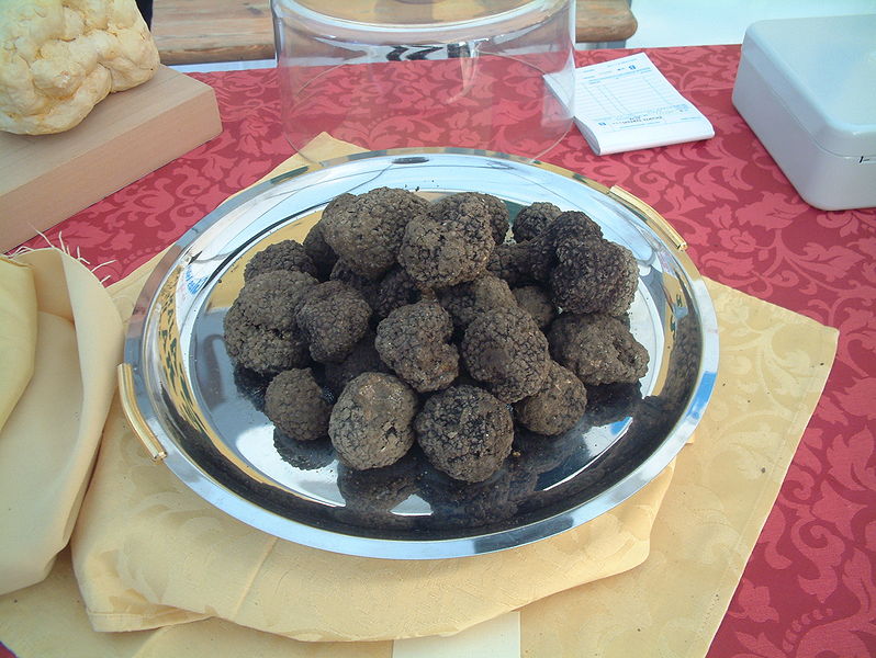 Photograph of black truffles on a plate