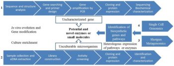 10.1 Microbial Ecology and Metagenomics – Microbiology: Canadian Edition