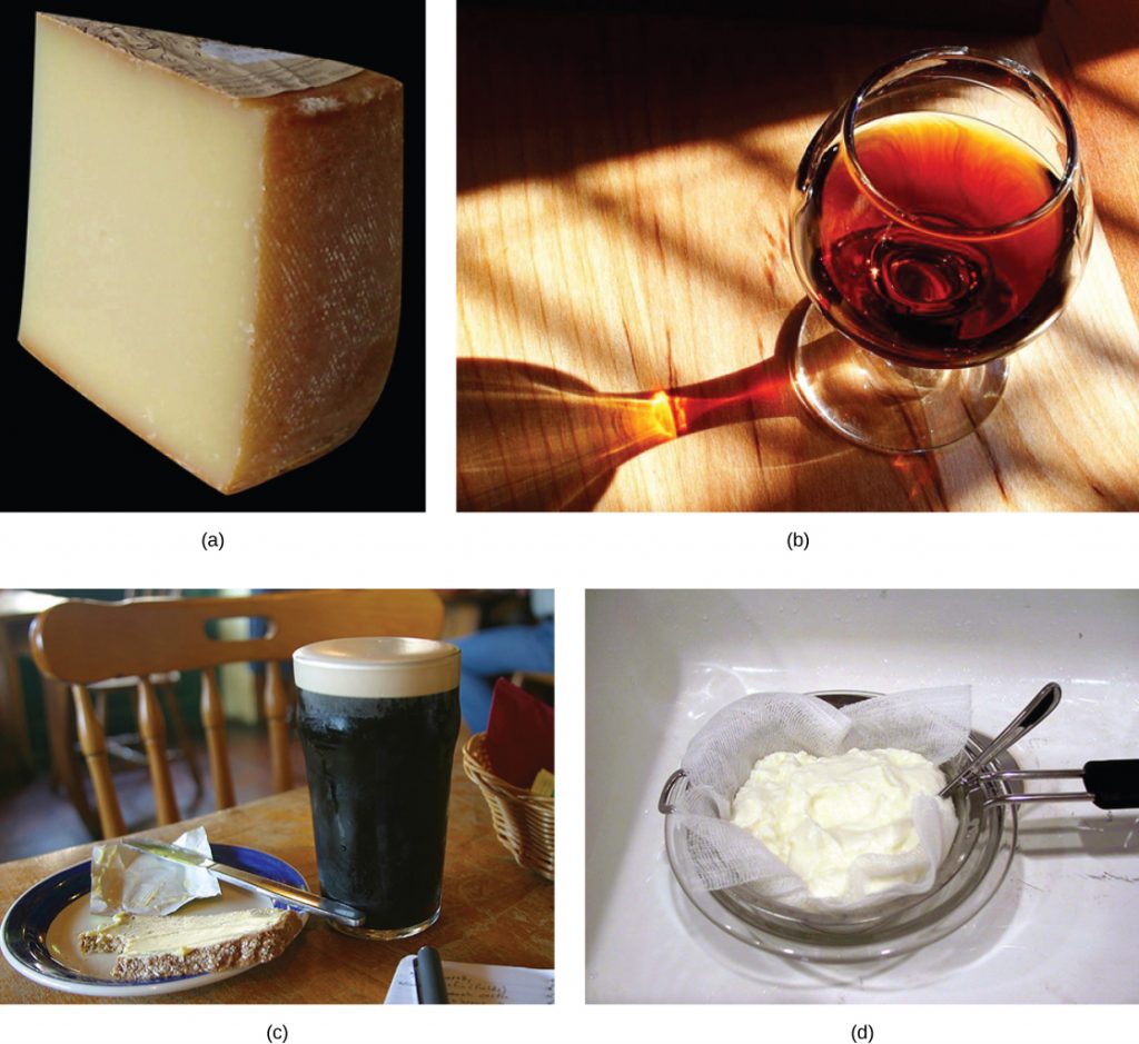 Photograph of foods and beverages produced by microbes: cheese, wine, beer and yogurt