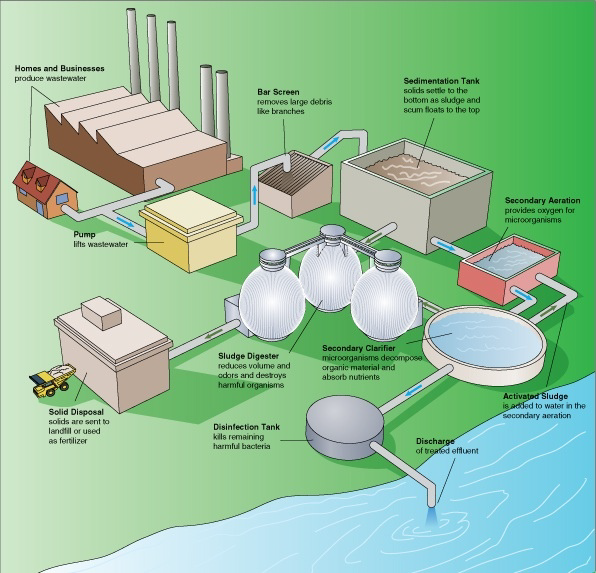 Diagram showing the typical wastewater treatment process.