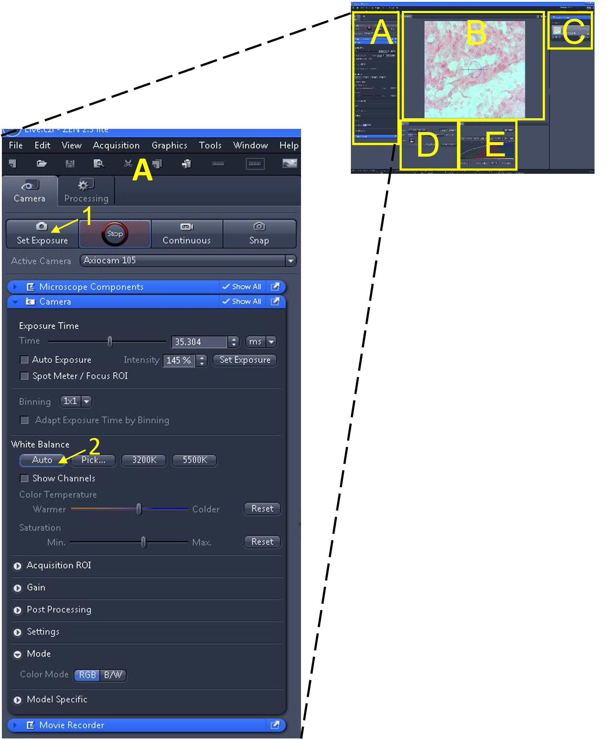An image of the main tool area indicating the set exposure button and the auto white balance button.
