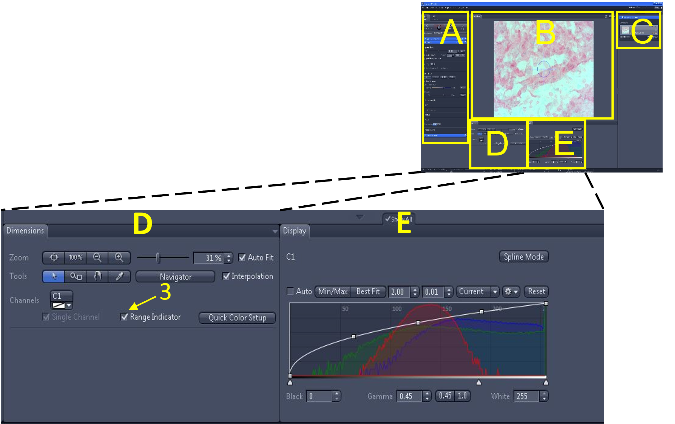 An image of the dimensions and display region of the Zen software interface indicating the range indicator check box.