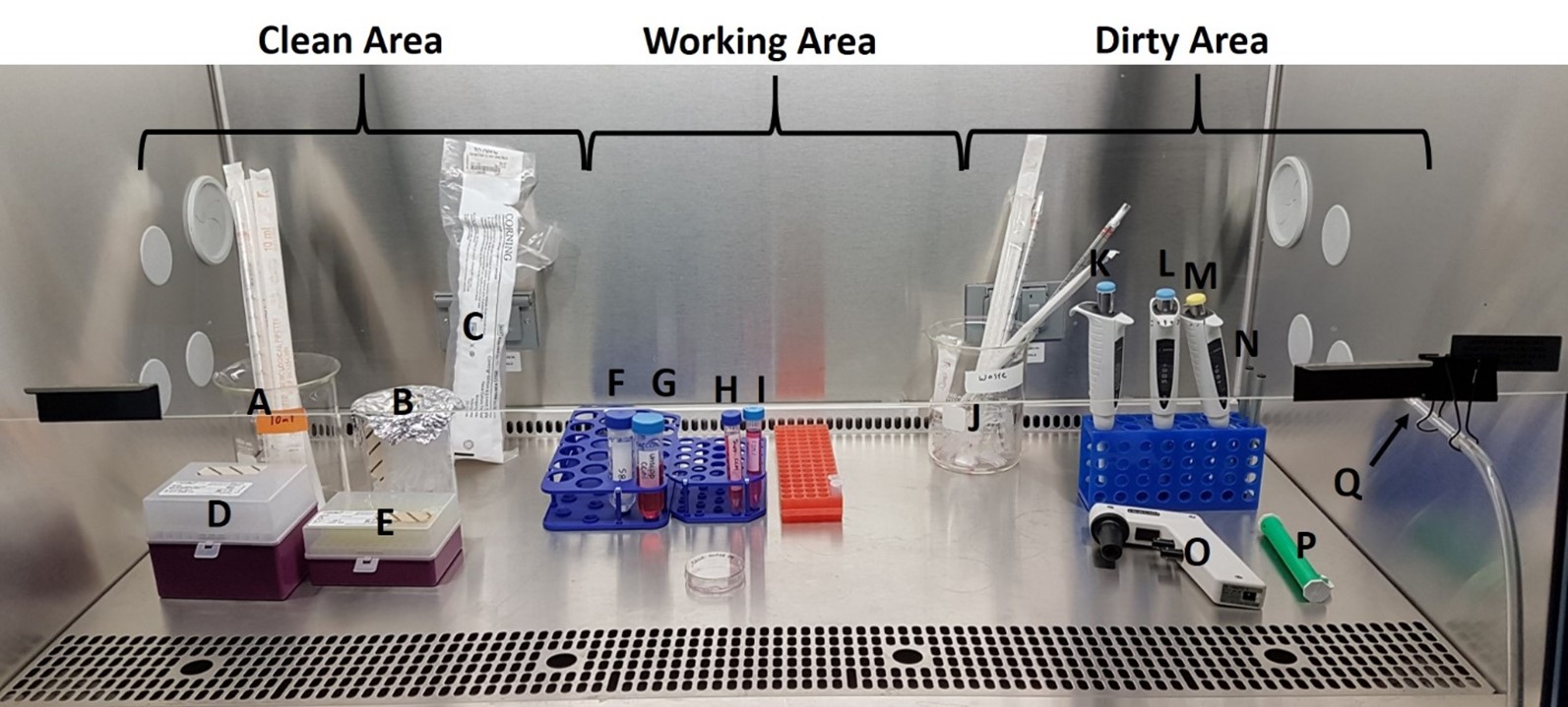 This image shows the interior of a Biological Safety Cabinet set up for cell culturing. The various lab equipment and reagents that are required for this procedure are labeled with letters and identified in the table below.