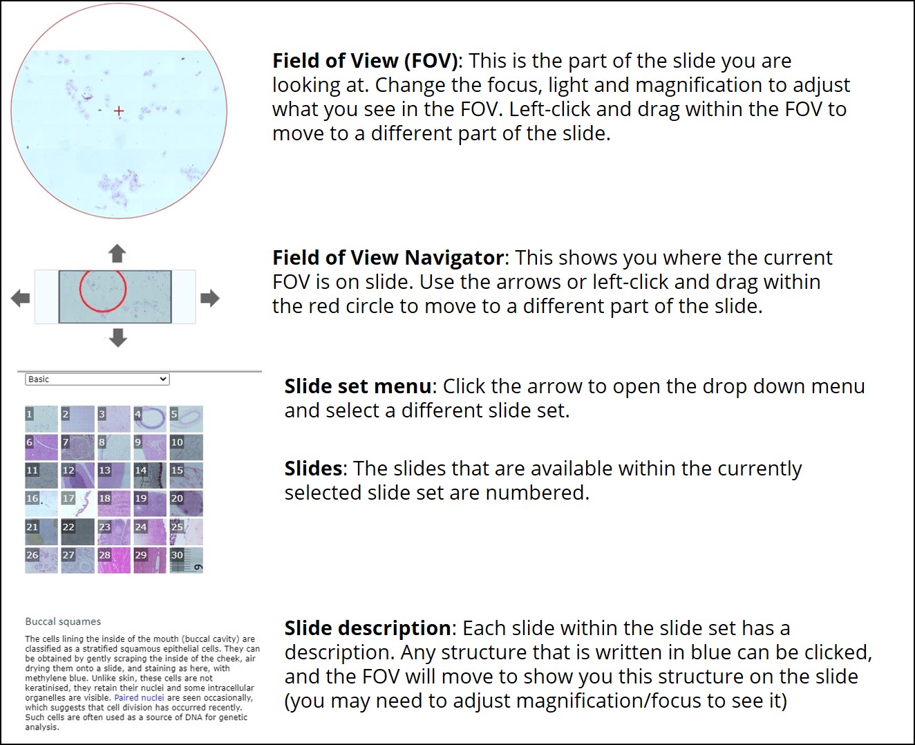 (2/2) An image of the Open Science Laboratory Virtual Microscope Legend showing the field of view, field of view navigator, slide set menu, slides, and slide description.