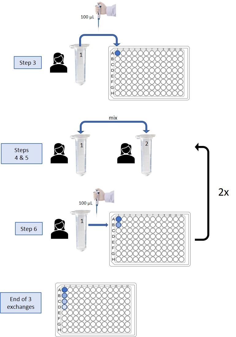 Steps of lab procedure. Black icons of person with long hair, microcentrifuge tubes, and 96-well plates with step-by-step instructions for the procedure.