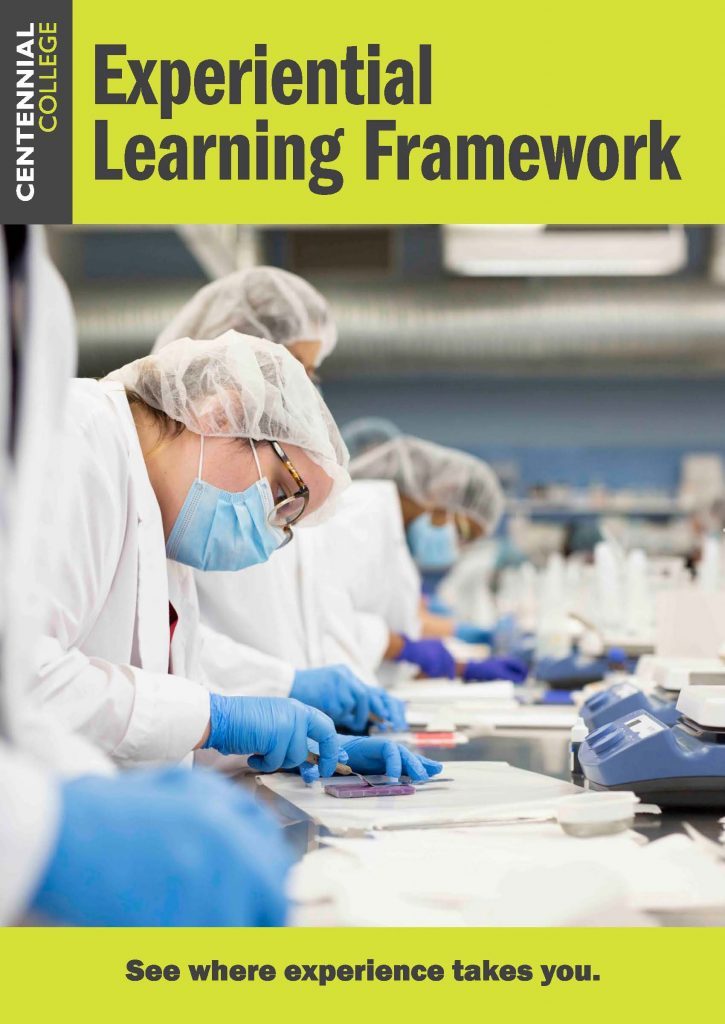 Cover image for Experiential Learning Framework