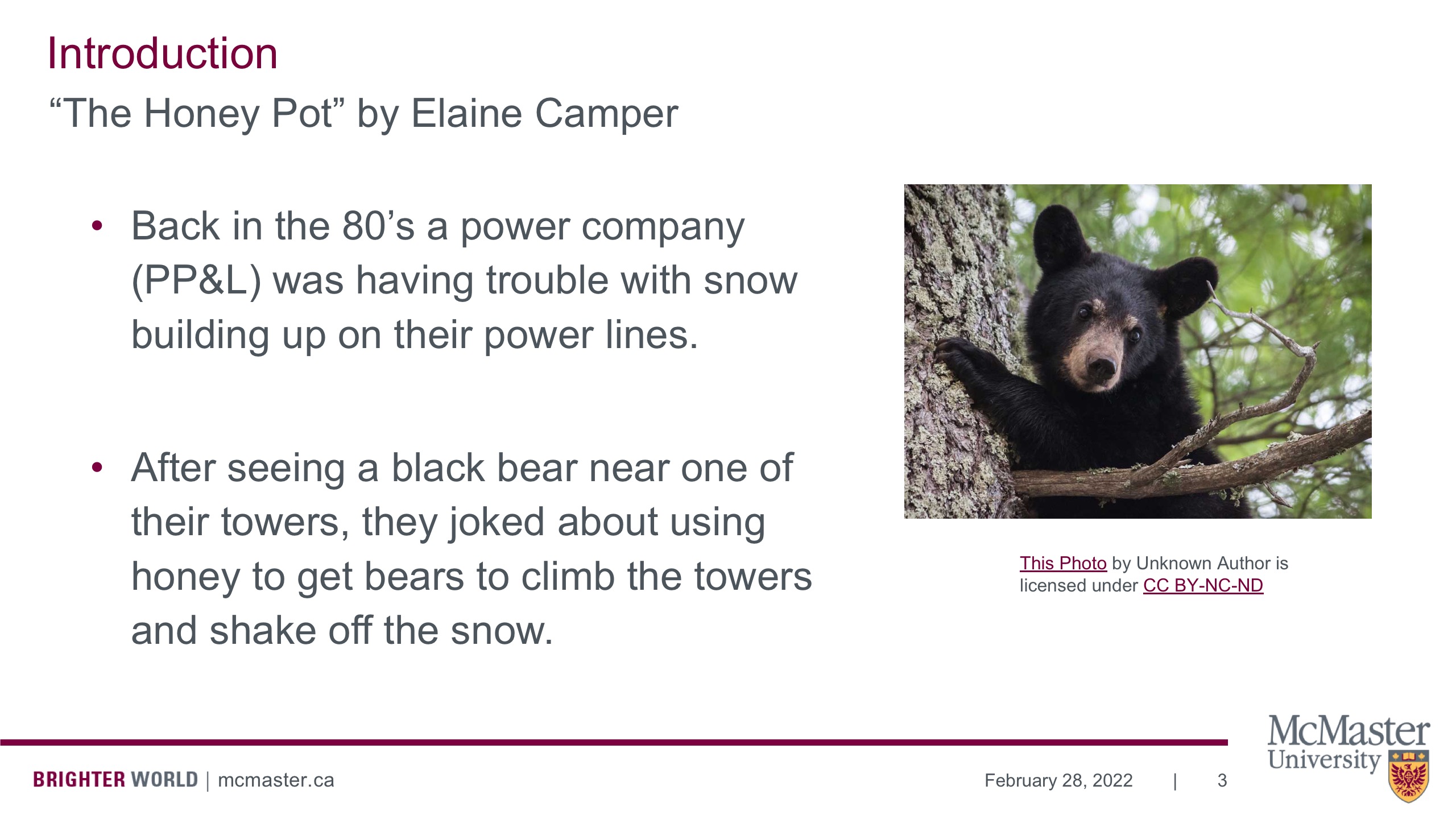 Image of a presentation slide. On the right is a picture of a black bear climbing a tree. The title of the slide is Introduction. The sub-title is, "The Honey Pot" by Elaine Camper. The body of the slide reads, Back in the 80’s a power company (PP&L) was having trouble with snow building up on their power lines. After seeing a black bear near one of their towers, they joked about using honey to get bears to climb the towers and shake off the snow.