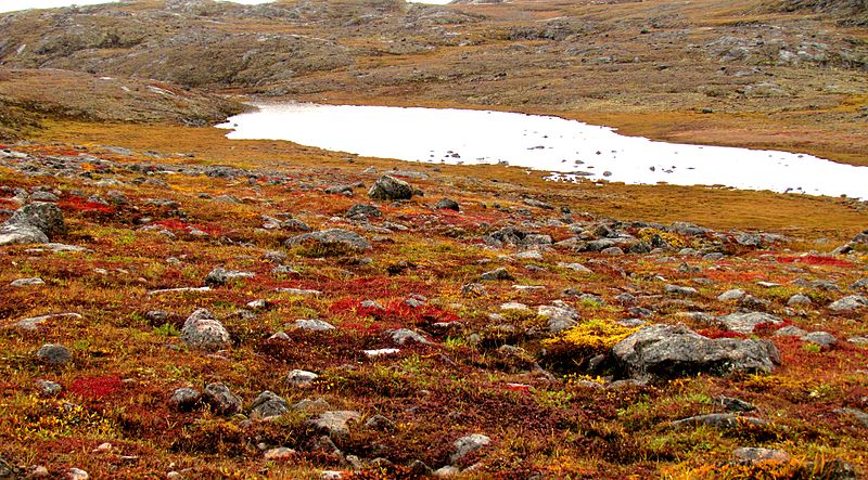File:Nunavut tundra -a.jpg