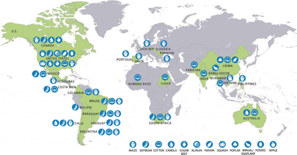 6 worldwide. Genetically Engineered Crops: experiences and Prospects. Зоны свободные от ГМО. Распространение ГМО В мире. Зоны свободные от ГМО В мире.