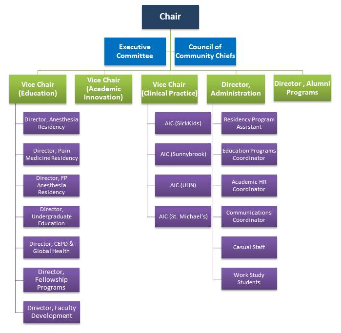 Four tiered hierarchy detailing the levels of one department at a large university. Chair is at the top, with two reports, followed by another 5 people reporting up. Three of the five in the third level have stacked reports. 