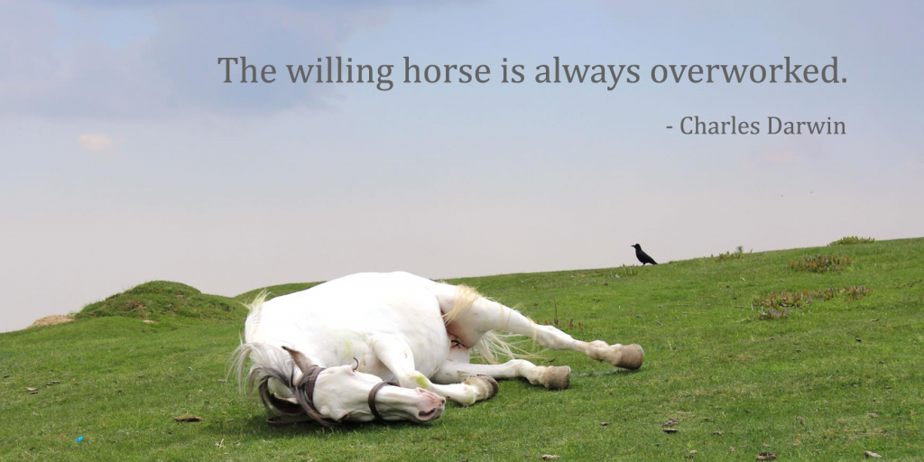 Image of horse sleeping with quote: "The willing horse is always overworked by Charles Darwin"