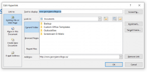 screenshot of edit hyperlink window in Word