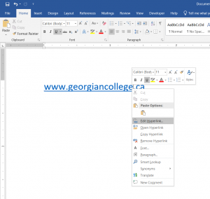 Screenshot of edit hyperlink option in Microsoft Word desktop version