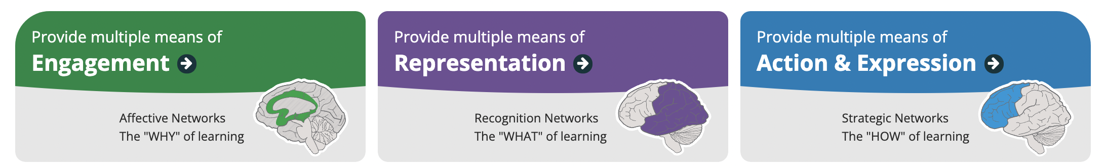 Universal Design for Learning Guidelines: Engagement, Representation, and Action & Expression