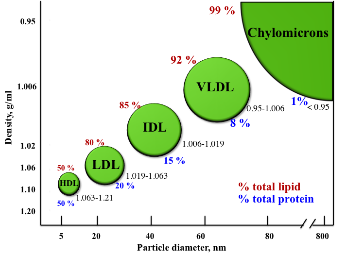 Lipoprotein classes