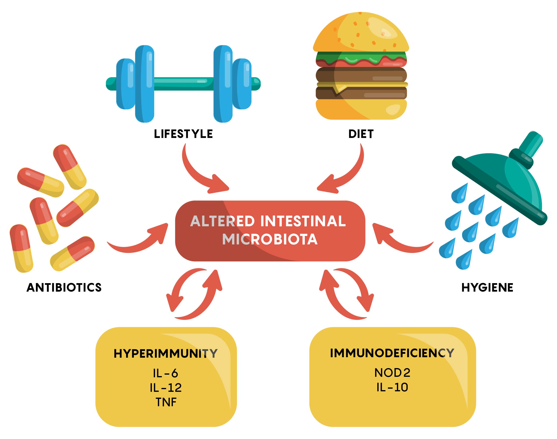 The Gut Microbiome And Its Impact On The Brain Medicine Libretexts