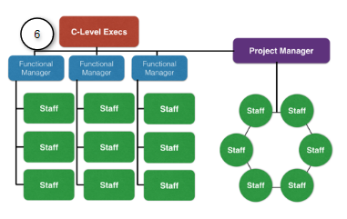 Diagram of a Dedicated Project Team's structure.