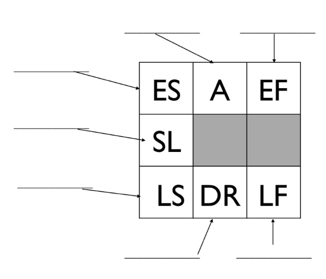A blank diagram of a network activity.