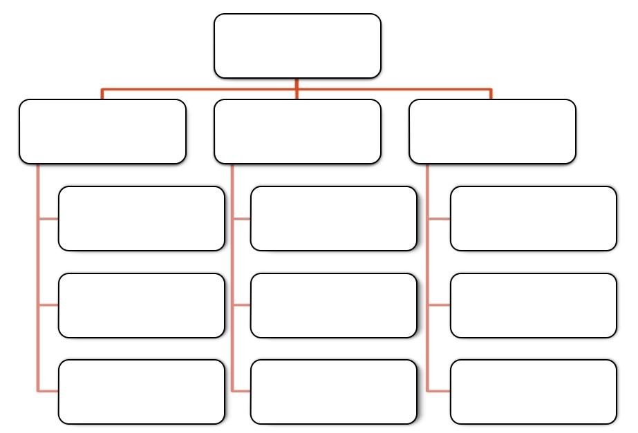 Blank chart showing the structure of a projectized organization.