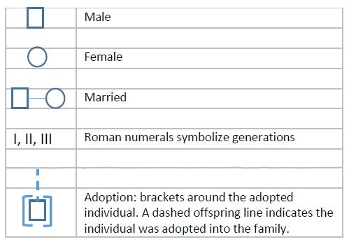 A legend for the symbols in the above family tree: squares represent males, circles represent females, a circle and square linked by a solid line represent a married couple, Roman numerals represent the generations of the family, and two square brackets represent an adoption into the family.