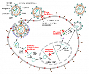 Schematic description of the mechanism of the four classes of antiretroviral drugs for HIV.