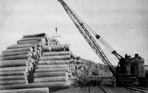 Crane loading large logs