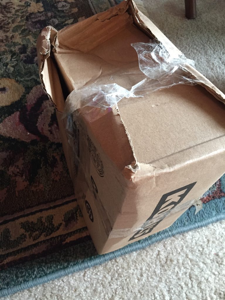 Package Delivery Failure