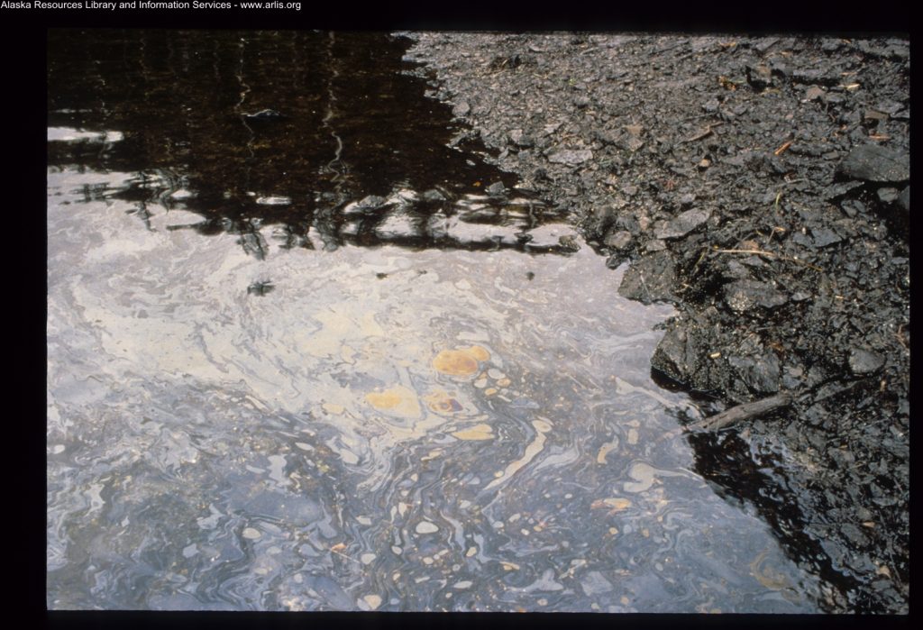 Exxon Valdez, Oil Spill Disaster