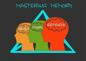 Mastering memory involves encoding, storing, and retrieving information