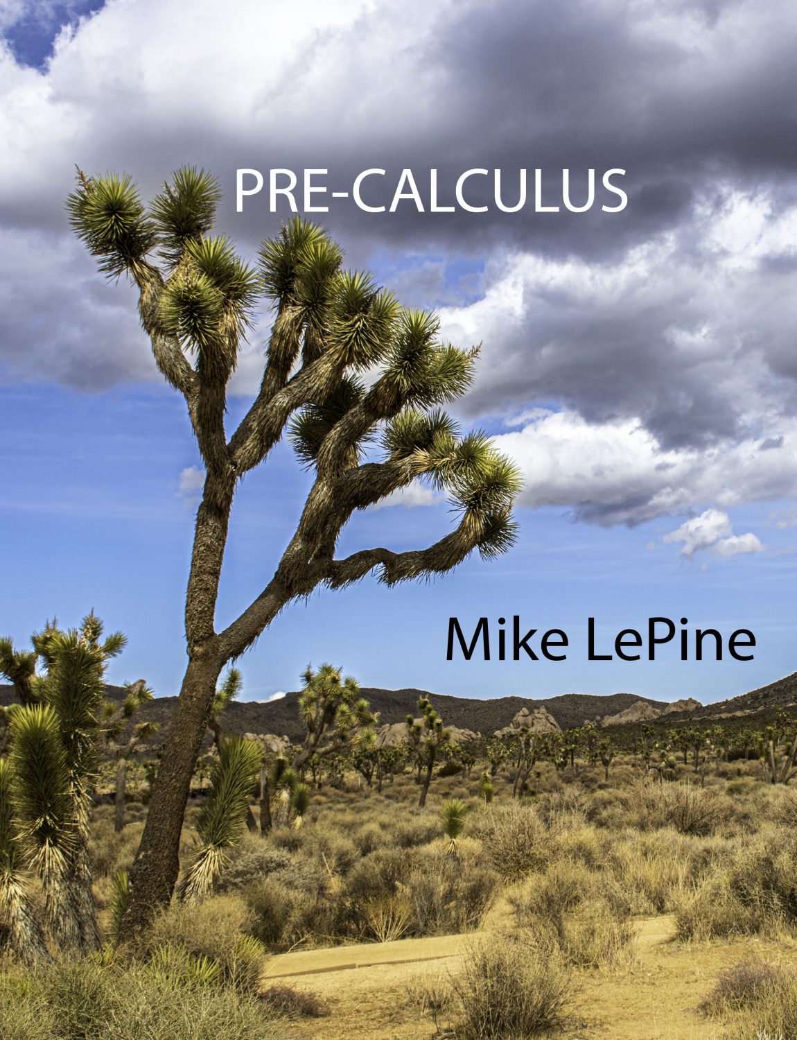 Cover image for Pre-Calculus