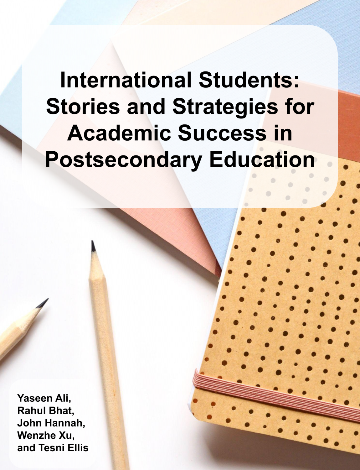 Cover image for International Students: Stories and Strategies for Academic Success in Postsecondary Education