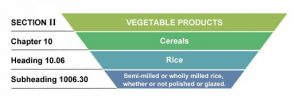 harmonized system of coding example for rice