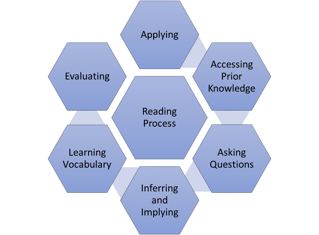 Stages Of Reading Process