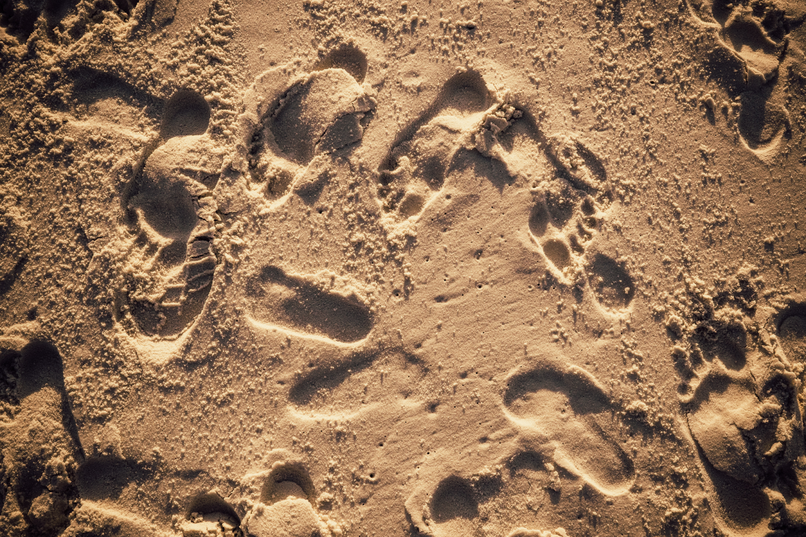messy footprints in different directions in the sand