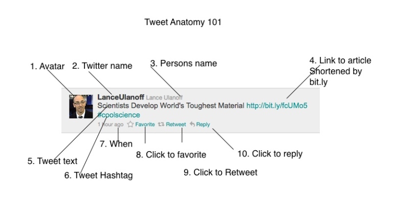 A diagram showing the anatomy of a tweet