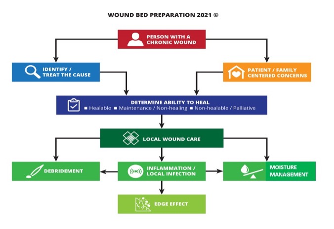 Wound Bed Appearance