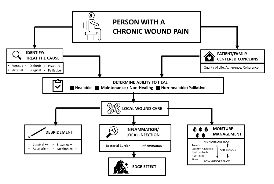 Chronic Wound Pain Paradigm