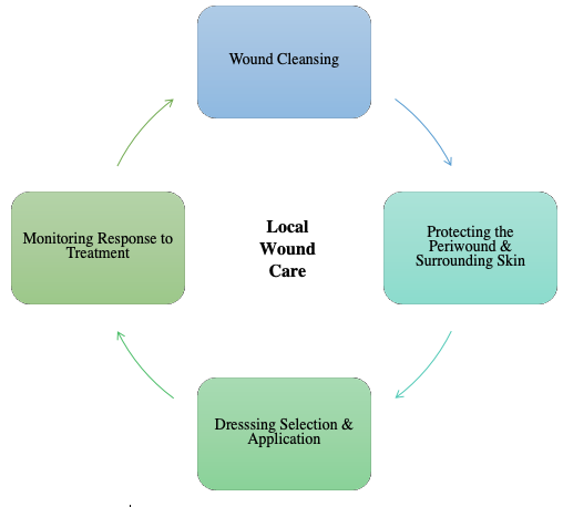 Image of ther fous sectors of Local Wound Care