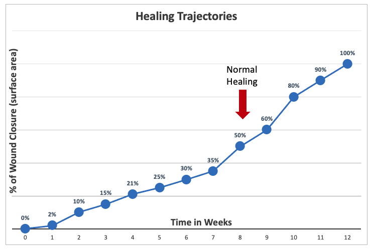 Figure 1 Healing trajectories