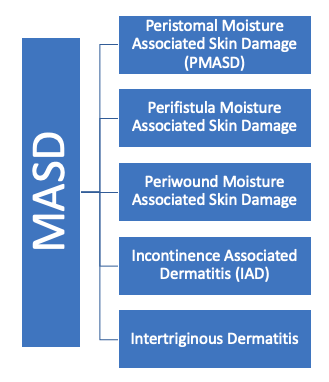 five types of moisture