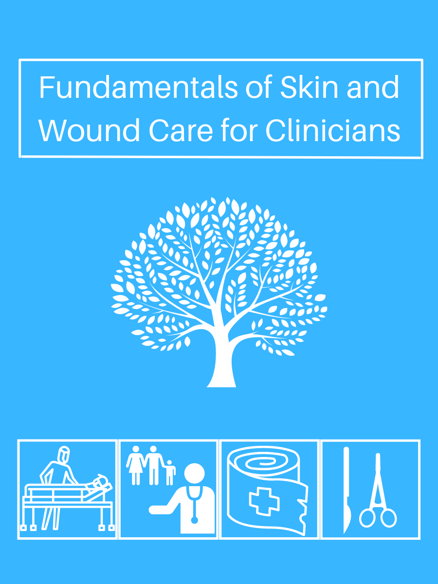 Cover image for Skin and Wound Care for Health Care Professionals