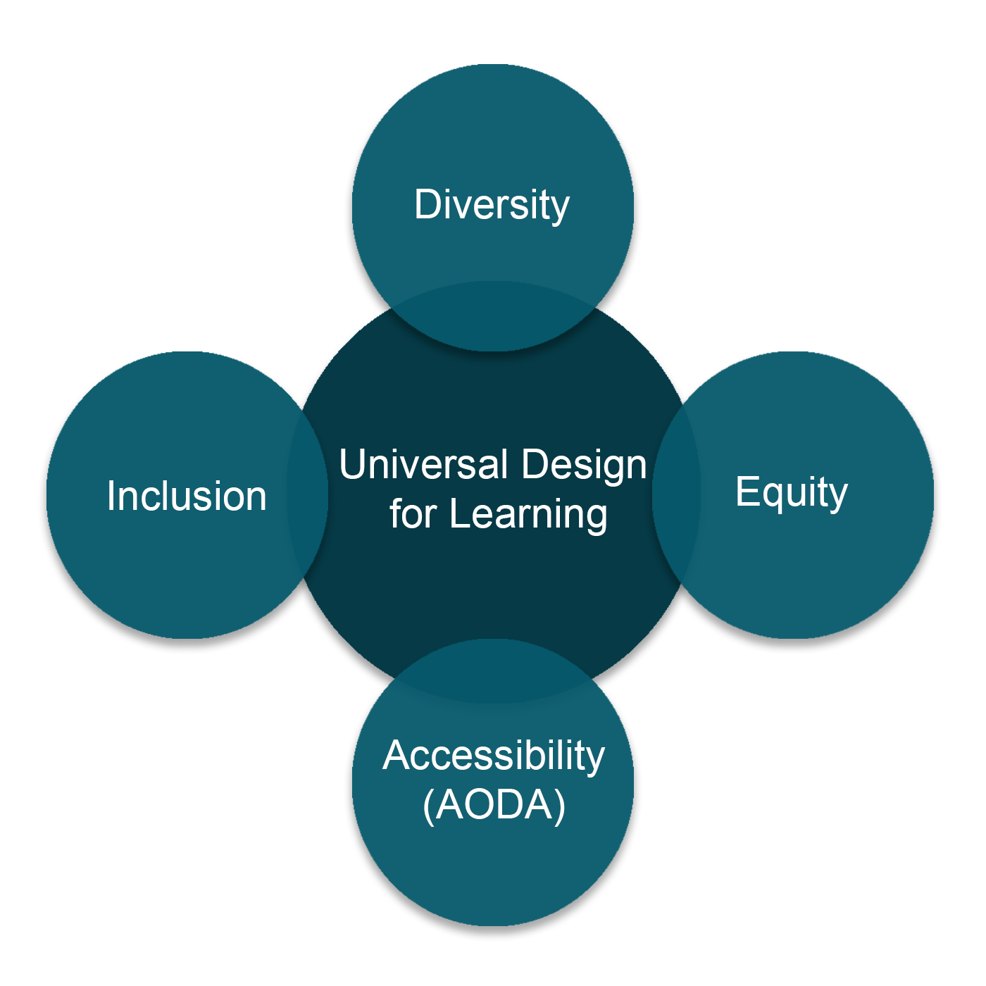 Universal Design for Learning