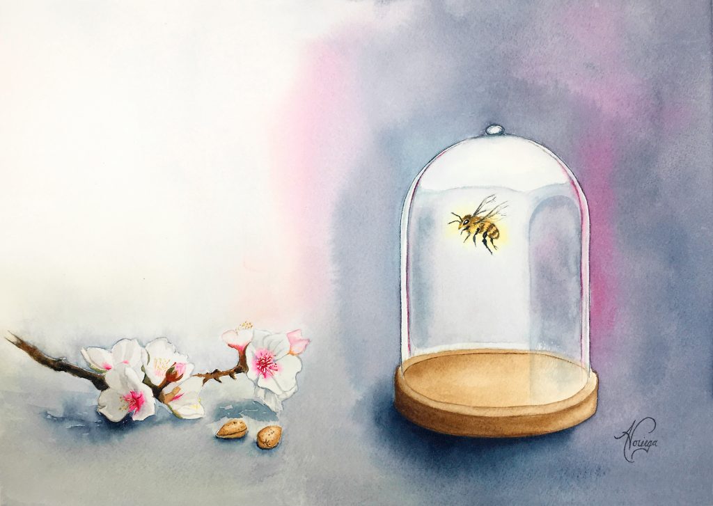 watercolour painting of a bee inside a bell jar looking at a flowering branch and almonst