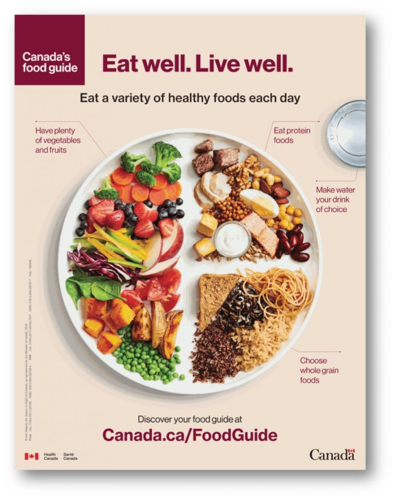 cover of the 2019 Canada's Food Guide showing a plate divided into quadrants