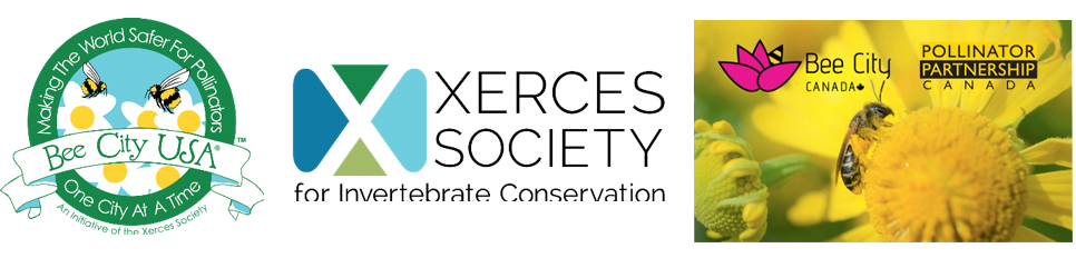 Bee City USA and the Xerces Society banner and logo. Right image shows the Bee City Canada and Pollinator Partnership Canada’s logos