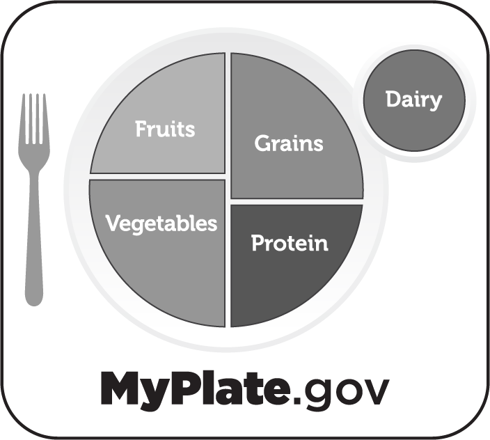 graphic showing USDA&#039;s food recommendations with an image of a plate divided into quadrants