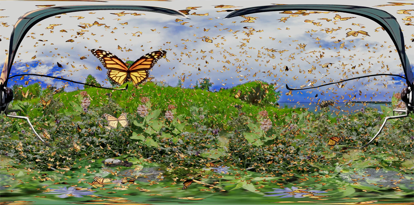 augmented reality image from within an AR visor, with numerous monarch butterflies and a green expanse